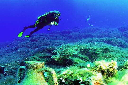 Tour image 5