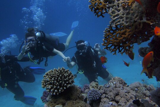 Tour image 3