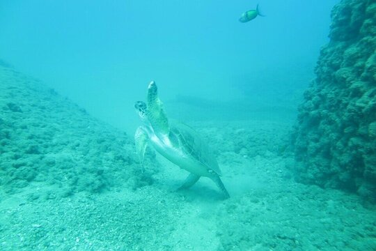 Tour image 5